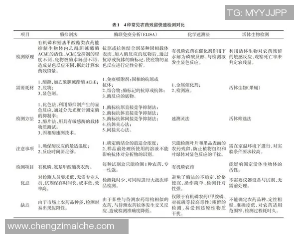 足球场建设的现状与未来发展趋势探讨及其对社区的影响分析